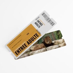 Billet journée - Adulte (à partir de 11 ans)